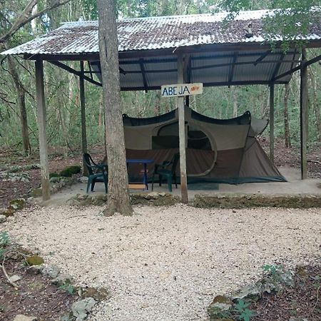 Campamento Yaax Che en Calakmul Conhuas Esterno foto