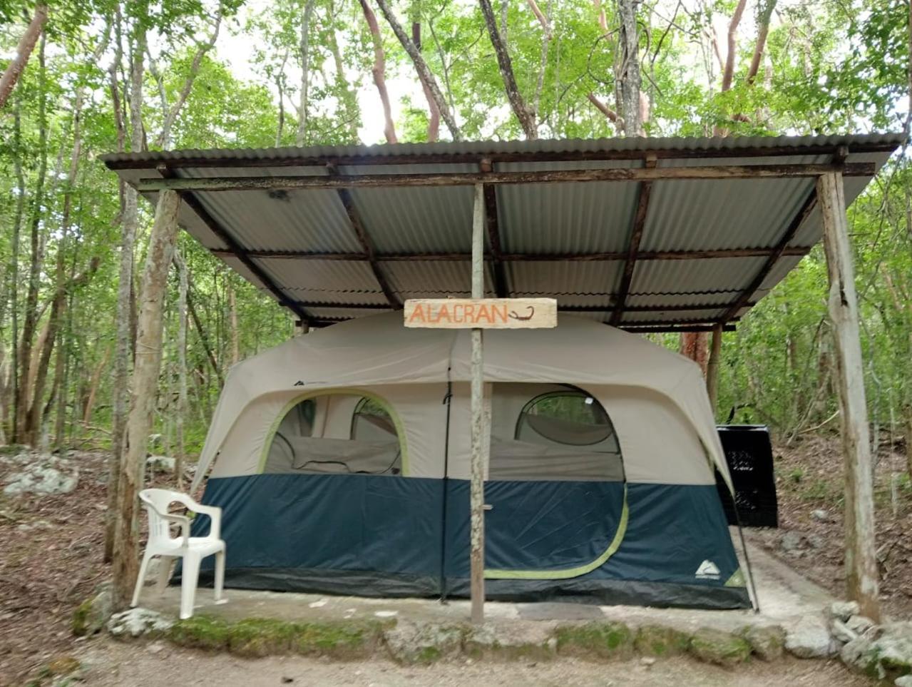 Campamento Yaax Che en Calakmul Conhuas Camera foto
