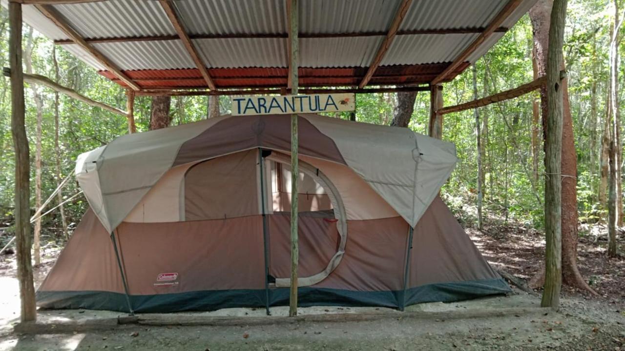 Campamento Yaax Che en Calakmul Conhuas Camera foto