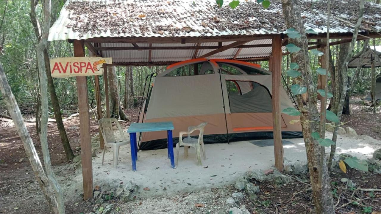 Campamento Yaax Che en Calakmul Conhuas Camera foto